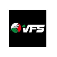 VFS STORE logo - Similar company to Topmobility