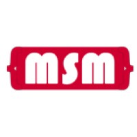 MSM Soft logo - Similar company to W2B Webtech