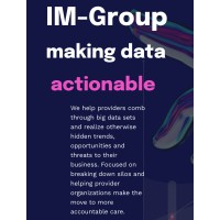 IM-Group logo - Similar company to Bolt Haus