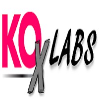 KOx Labs logo - Similar company to Kox