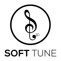 SoftTune Technologies logo - Similar company to Premier It Solutions