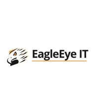EagleEye IT logo - Similar company to Mind-Map Learning