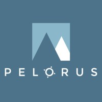Pelorus Consulting logo - Similar company to Shoremount