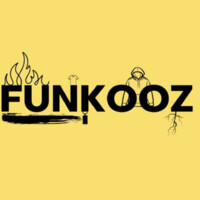 Funkooz logo - Similar company to Spyleads