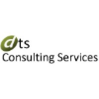 Dts Consulting Services