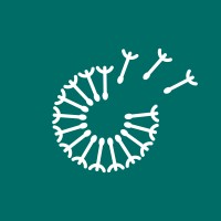 Momentum Novum logo - Similar company to Cs Werbewerk