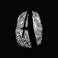 Accomplice Content Supply Co. logo - Similar company to Redlab
