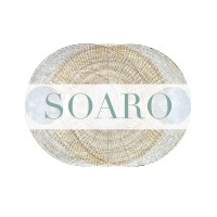 Soaro™ logo - Similar company to Motion Light Lab