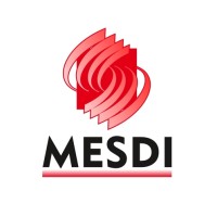 Mesdi Kft. logo - Similar company to New Solution Service Kft