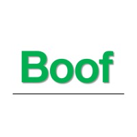 Boof logo - Similar company to Boof Co.