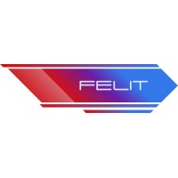 Felit Logistic logo - Similar company to Sef Global Logistics