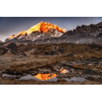The Mountain Tribe logo - Similar company to Inscriptio