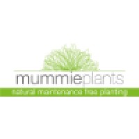 Mummie Plants