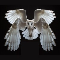 Ontocalypse Productions logo - Similar company to Rewilding: Lab