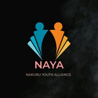 Nakuru Youth Alliance logo - Similar company to Eneza It Solutions