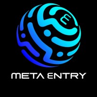 MetaEntry logo - Similar company to Strateji̇360