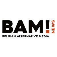 BAM Belgian Alternative Media logo - Similar company to Itor