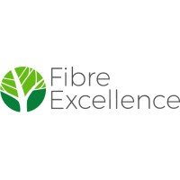 Fibre Excellence logo - Similar company to Bio-Valo