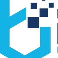 BDPA Houston logo - Similar company to Mobile Apps Development Houston Texas Newyork