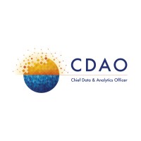 CDAO Services logo - Similar company to National Inc.