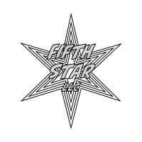 Fifth Star LLC logo - Similar company to Fifth Star Labs
