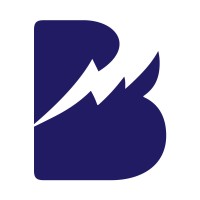 Brand Surge Marketing logo - Similar company to Brand Surge