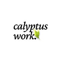 Calyptus logo - Similar company to Calyptus