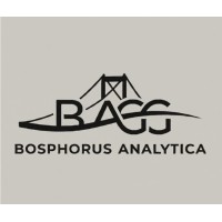 BAGG AI logo - Similar company to Mentorum