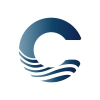 Coinflow.com logo - Similar company to Netsips