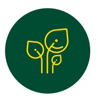 Peepal Paper logo - Similar company to Qissa