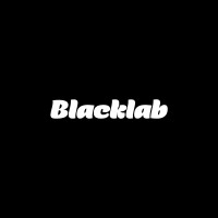 Blacklab logo - Similar company to Emc Y Asociados
