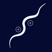 Curly Technologies LLC logo - Similar company to Curly Code