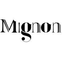 Mignon logo - Similar company to Technodream Outsourcing Services