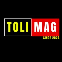 Toli Mag logo - Similar company to Les Conteurs