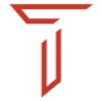 Telikoz Infotech Pvt LTD logo - Similar company to Techstas Info Solutions Pvt Ltd