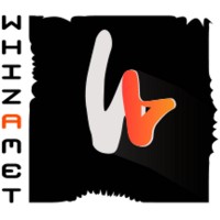 Whizamet logo - Similar company to Nirag Infotech