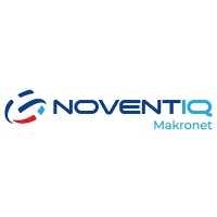 Makronet Information Technologies logo - Similar company to Neses Information Technology