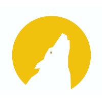 The Sound Works logo - Similar company to Mindshare Capture Consulting