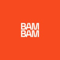 BAM BAM logo - Similar company to Hurni Engineering Sàrl