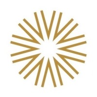 Vision Wealth Management Ltd