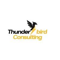Thunderbird Consulting Corporation logo - Similar company to Unity Scholars Network