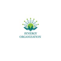 Synergy Organization kolhapur logo - Similar company to Excel Computers Kolhapur