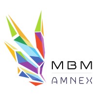 MBM AMNEX TECHNOLOGIES LLC logo - Similar company to Amnex Solutions