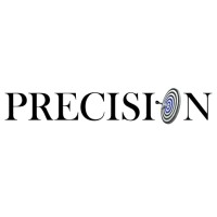 PRECISION ACCOUNTING AND FINANCIAL SOLUTIONS FZCO logo - Similar company to Bricks Solutions Financial Consultancy