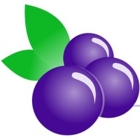 Berry ID logo - Similar company to Pt Traviora Global Wisata