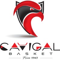 CAVIGAL NICE BASKET 06 logo - Similar company to Genie Products