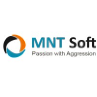 MNT SOFT logo - Similar company to Colasisi Soft Solutions