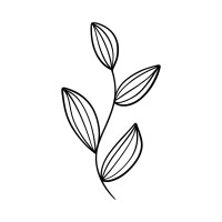 Bloom by Julie logo - Similar company to Foundation Le Solstice Switzerland
