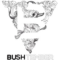 Bushtember Foundation
