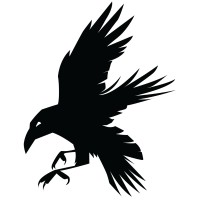 Black Bird Digital logo - Similar company to Intellix Solutions Llc